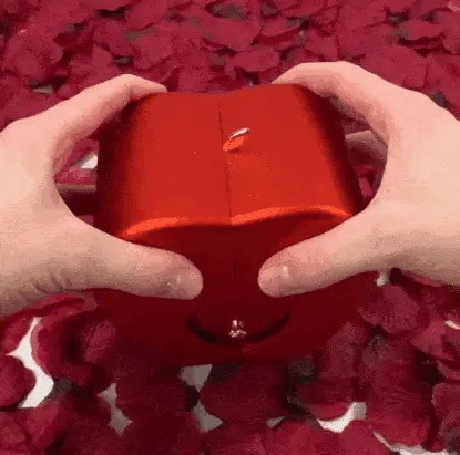 Coffret rose éternelle et collier en forme de coeur